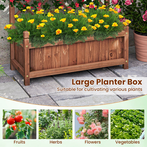 60 Inch Tall Raised Garden Bed with Diamond Lattice Trellis and Drainage Holes